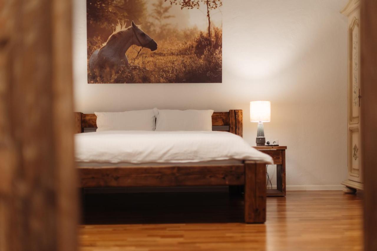 Casa 1901 Apart otel Baia Mare Dış mekan fotoğraf